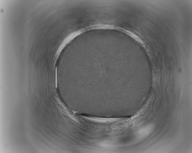 X0000060261223200511010904