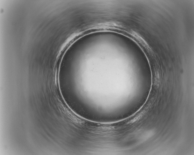 X0000060261224200511010904