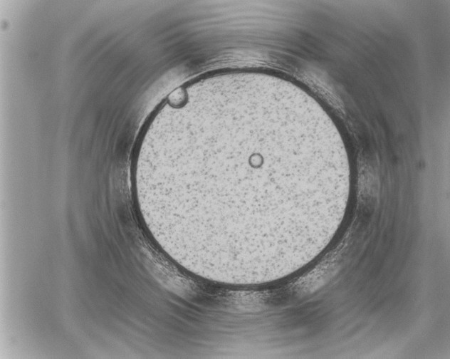 X0000060261226200511010904