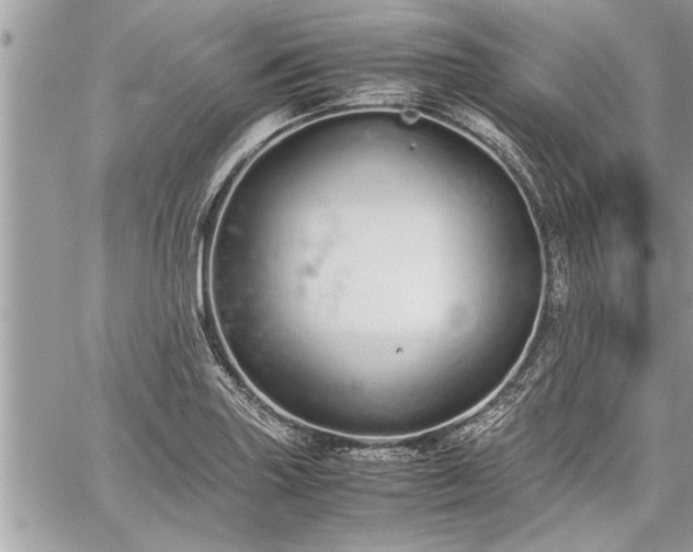 X0000060261227200511010904