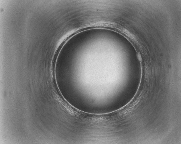 X0000060261230200511010904