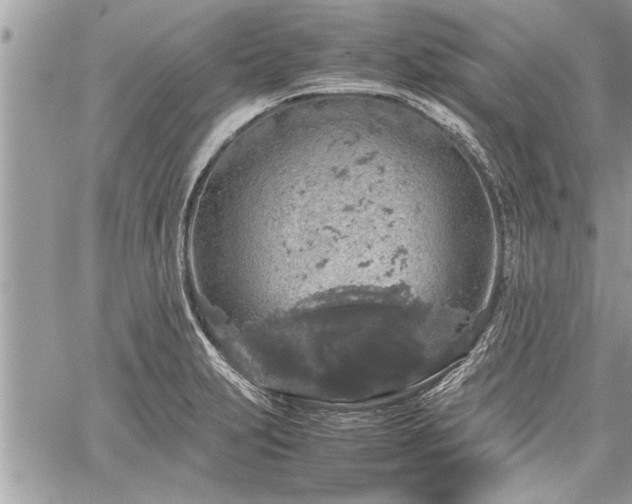 X0000060261231200511010904