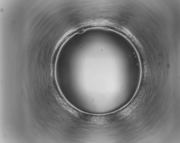 X0000060261232200511010904