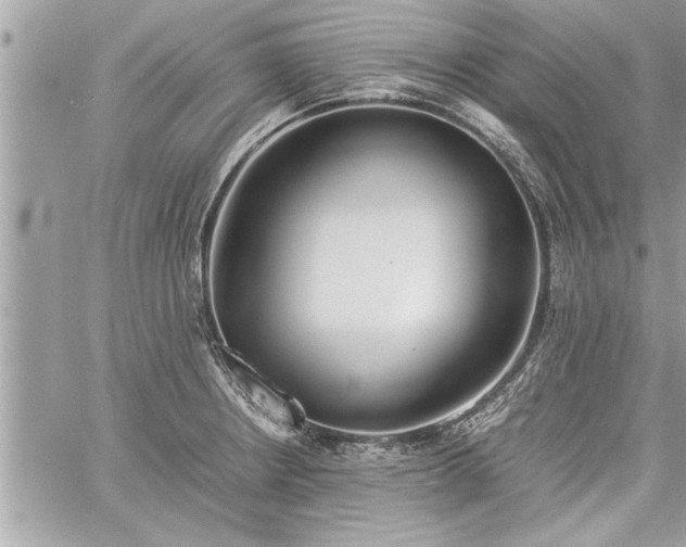 X0000060261234200511010904