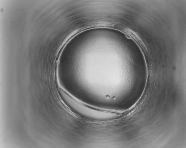 X0000060261236200511010904