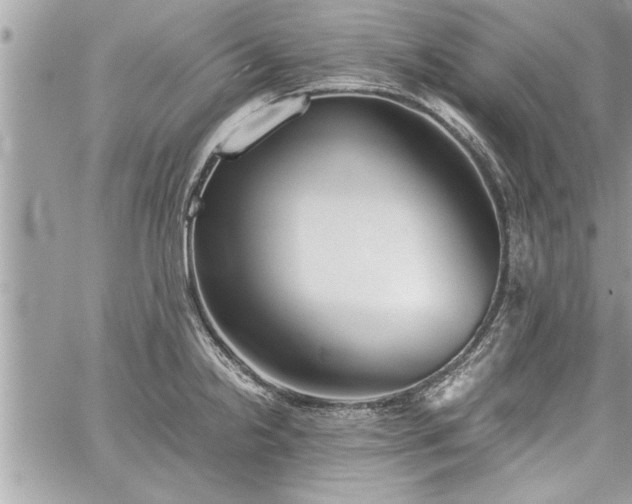 X0000060261238200511010904