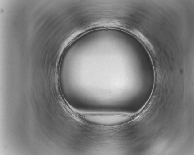 X0000060261240200511010904