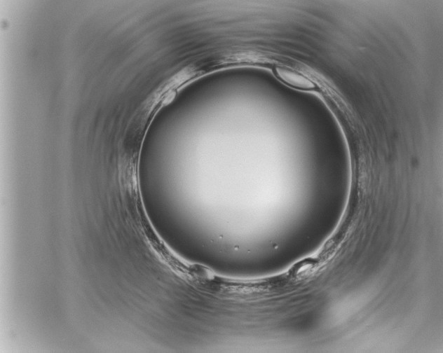 X0000060261241200511010904