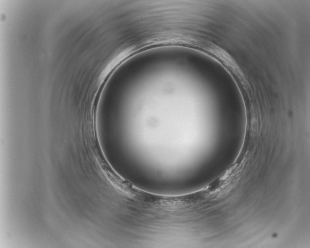 X0000060261242200511010905