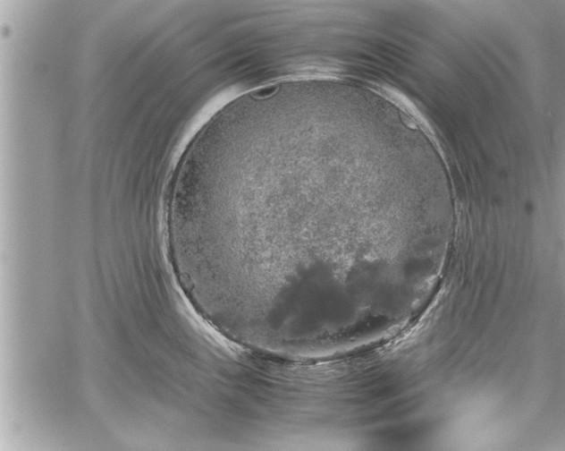 X0000060261243200511010905