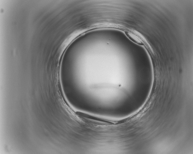 X0000060261244200511010905