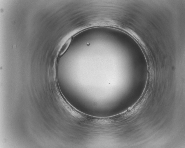 X0000060261246200511010905