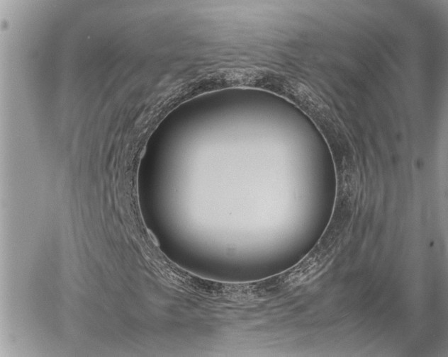 X0000060261249200511010904