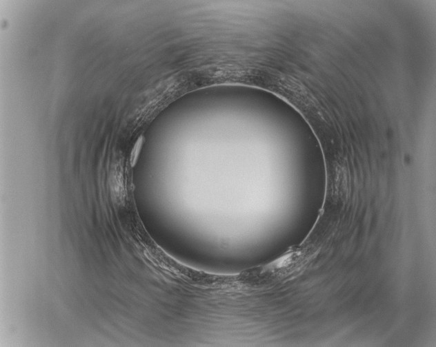 X0000060261250200511010904