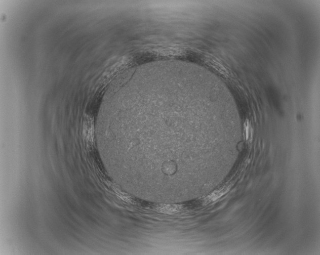 X0000060261251200511010904