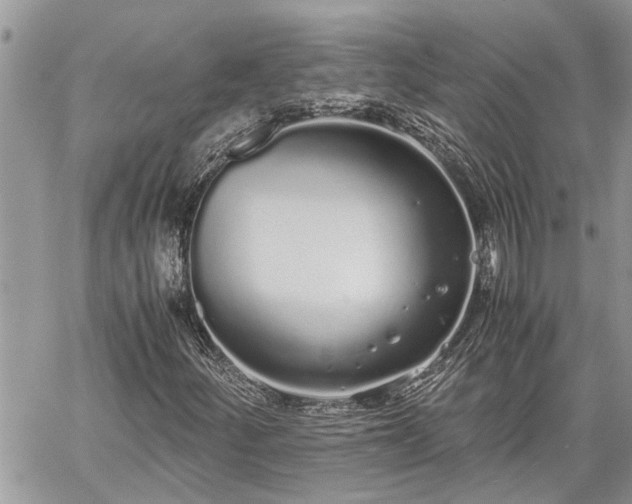 X0000060261252200511010904