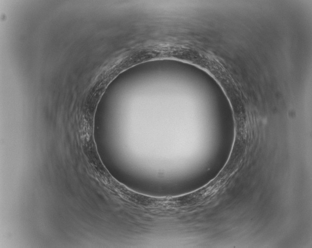 X0000060261253200511010904