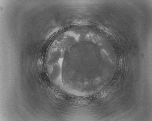 X0000060261254200511010904