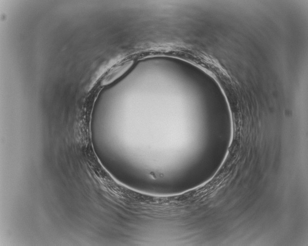 X0000060261256200511010904