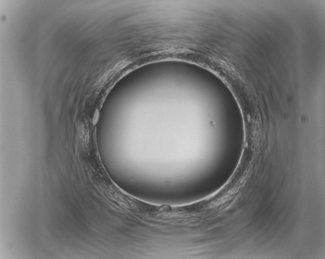 X0000060261257200511010904