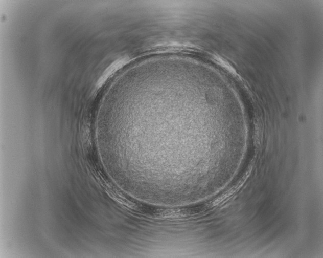 X0000060261259200511010904