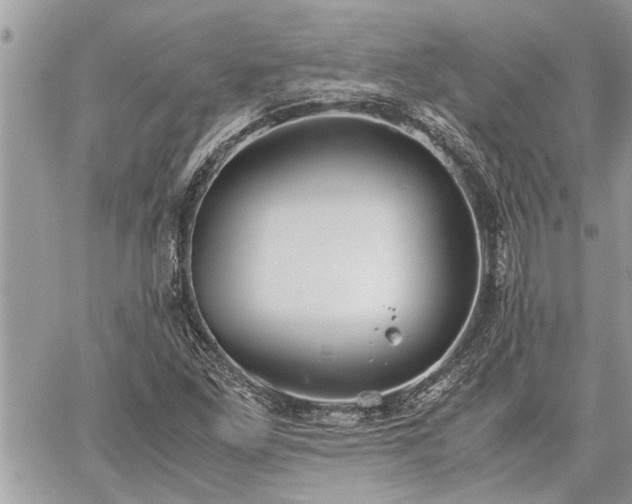 X0000060261261200511010904