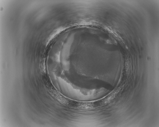 X0000060261262200511010904