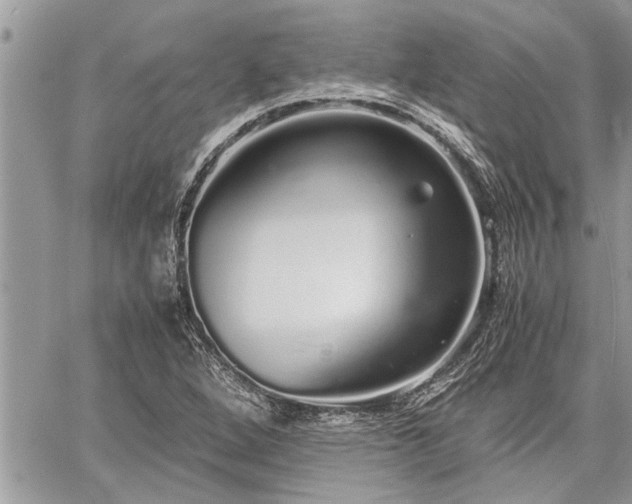 X0000060261264200511010904