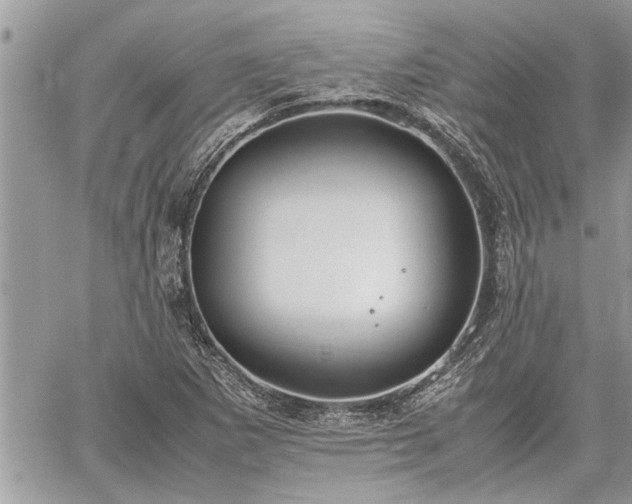 X0000060261265200511010904