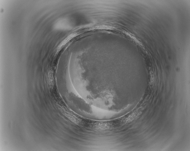 X0000060261266200511010904