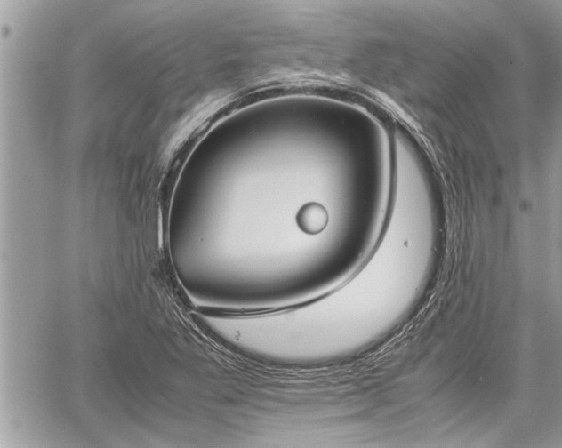 X0000060261269200511010903