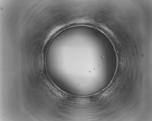 X0000060261270200511010903