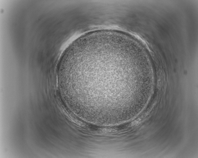 X0000060261271200511010903