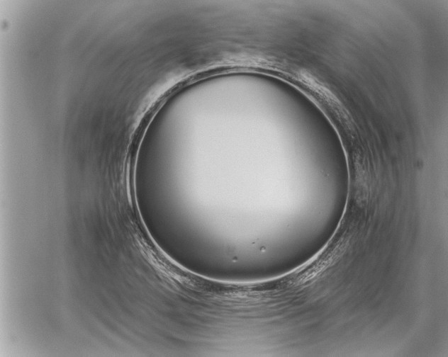 X0000060261272200511010903