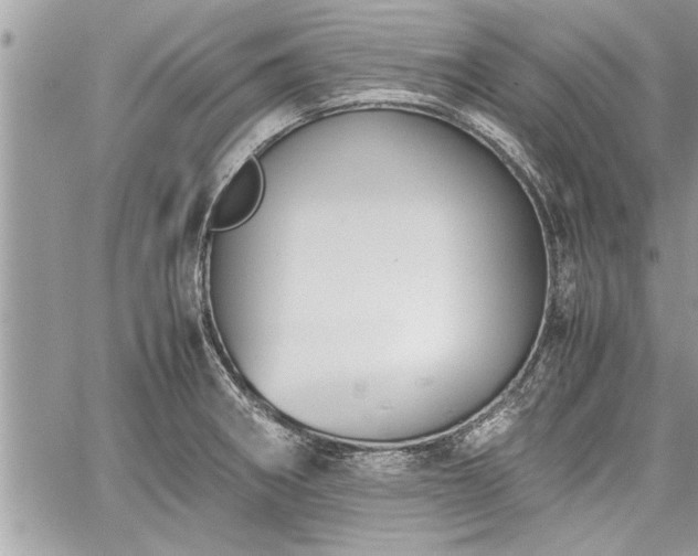 X0000060261282200511010903