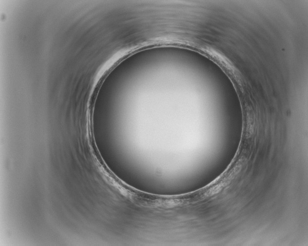 X0000060261286200511010903