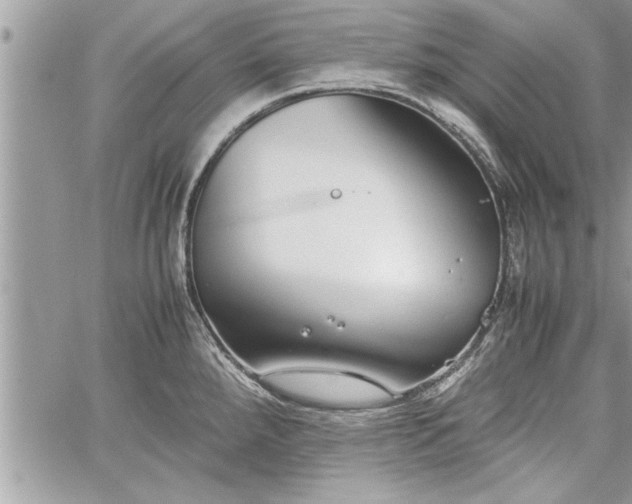 X0000060261288200511010903