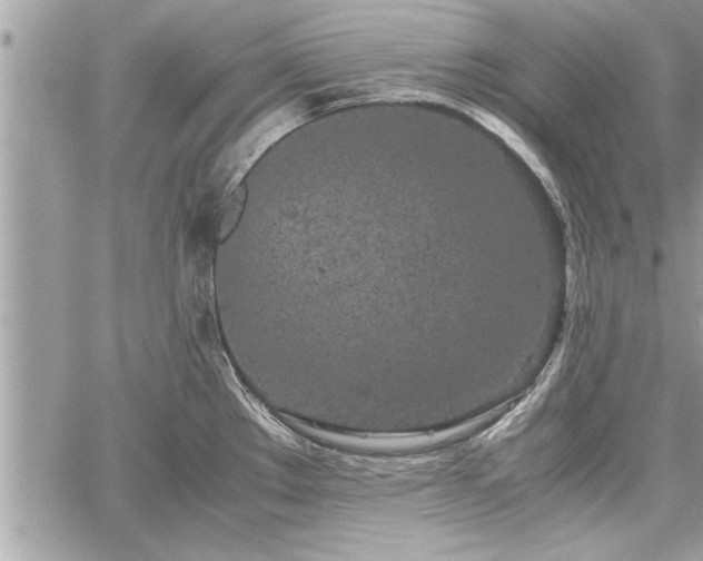 X0000060261289200511010903