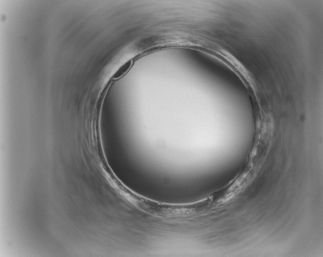 X0000060261293200511010903