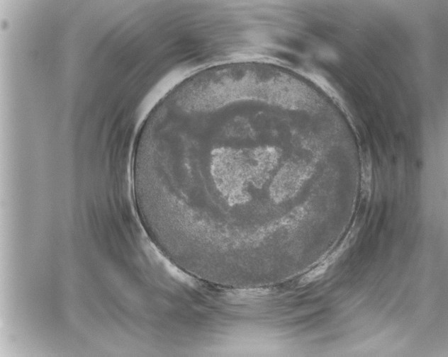 X0000060261294200511010903