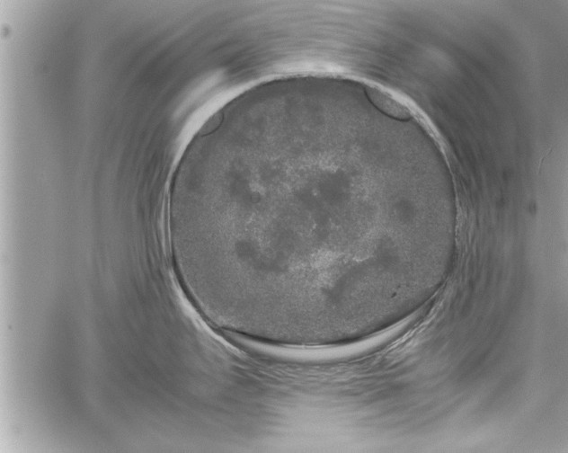 X0000060261295200511010903