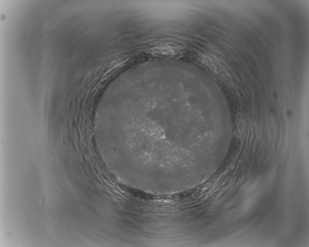 X0000060261297200511010902