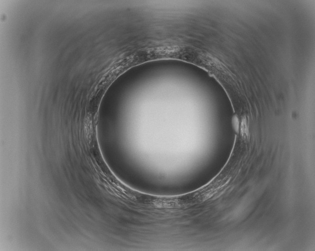 X0000060261299200511010902