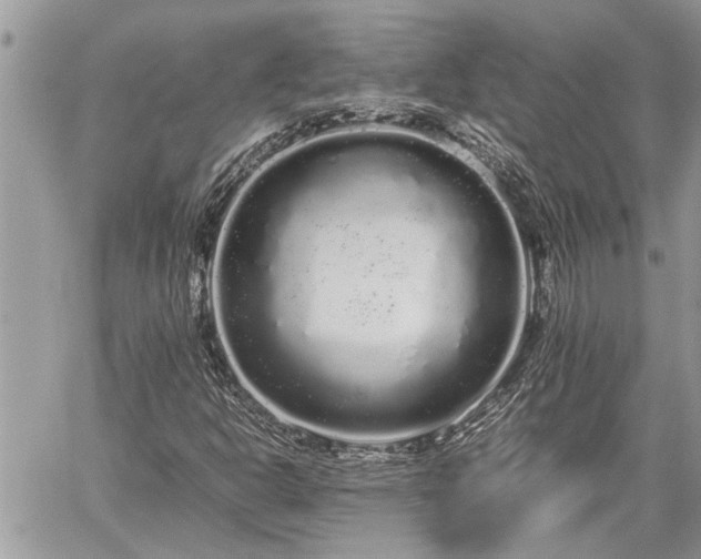 X0000060261302200511010902