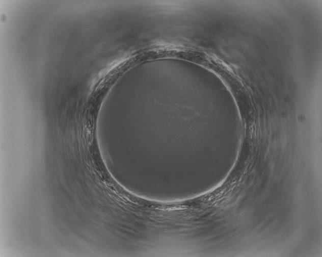 X0000060261303200511010902