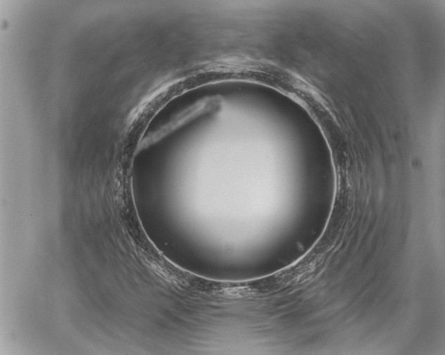 X0000060261304200511010902