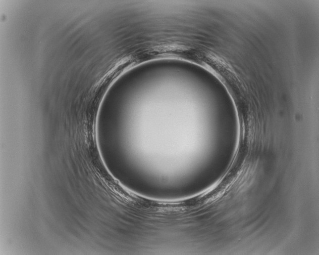 X0000060261305200511010902