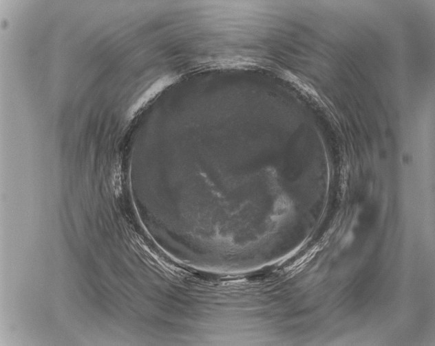 X0000060261306200511010902