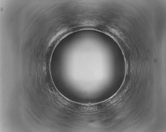 X0000060261307200511010902