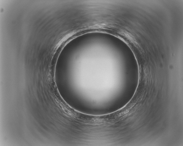 X0000060261308200511010902